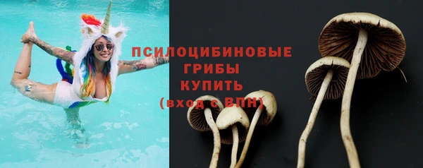ешки Бородино