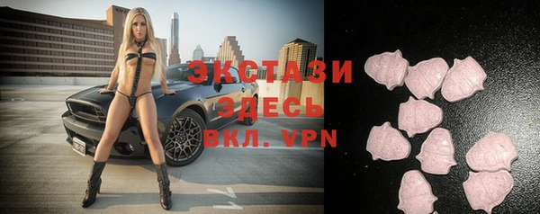 ешки Бородино